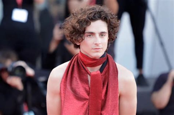 Actor Timothee Chalamet