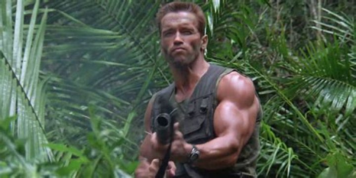 arnold predator
