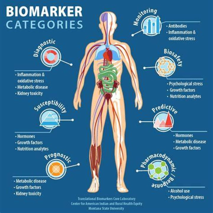 Biological Markers Associated with High-Risk Pancreatic Lesions