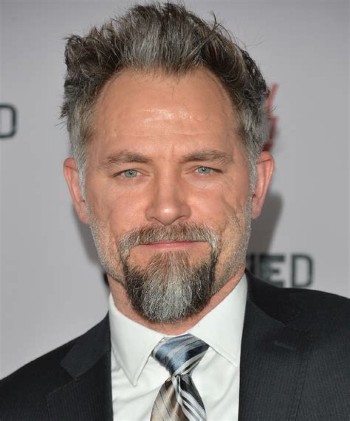 David Meunier Net Worth