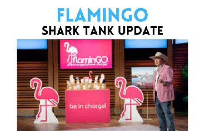 Flamingo Net Worth & Earnings (2024)