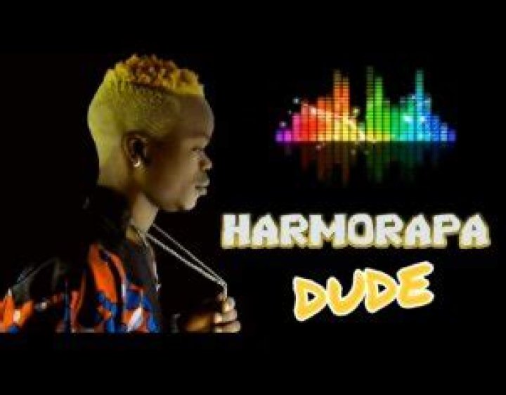HarmoRapa