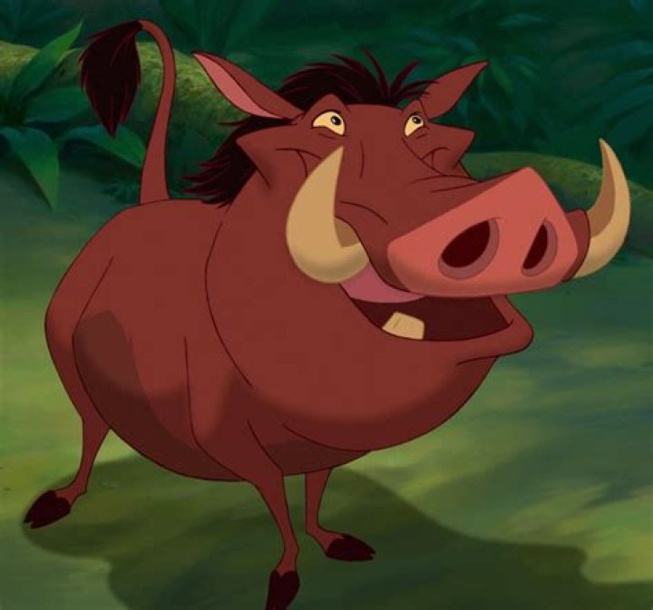 Is Pumbaa boar?