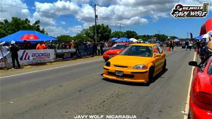JAVY WOLF NICARAGUA