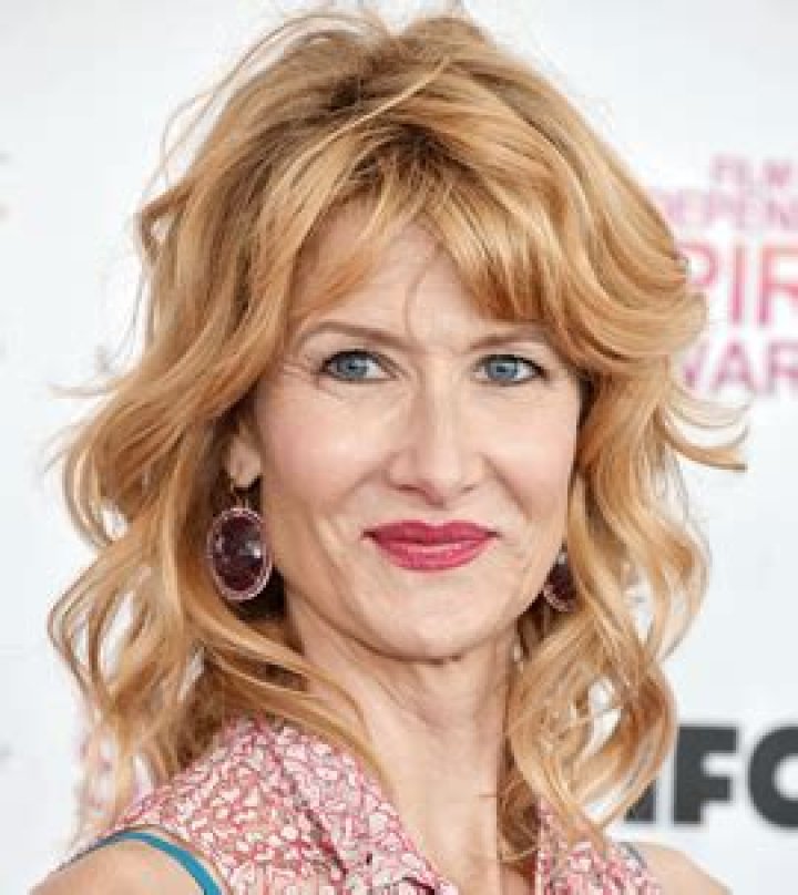 Laura Dern Bra Size, Age, Weight, Height, Measurements
