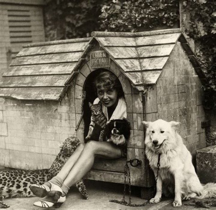 Mistinguett