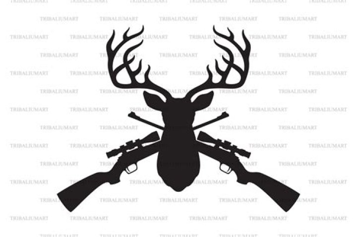Spike pointing a gun at enemy