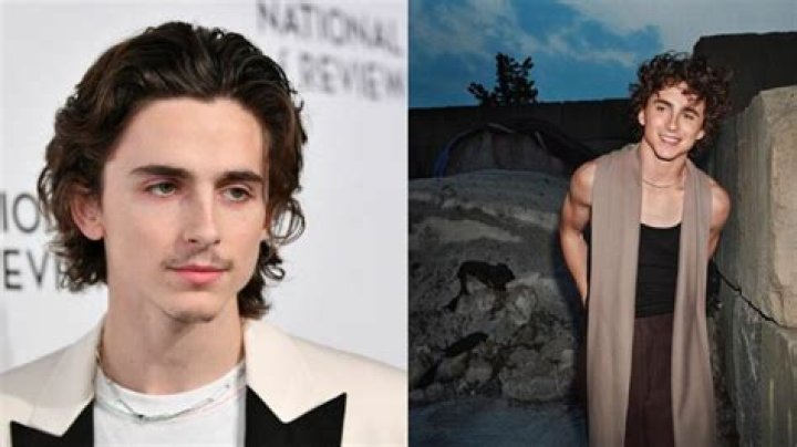 Timothee Chalamet Height Weight Stats