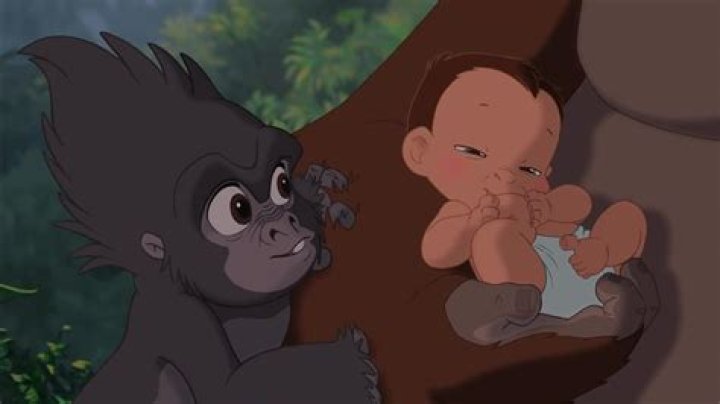What did Tarzan call the elephants?
