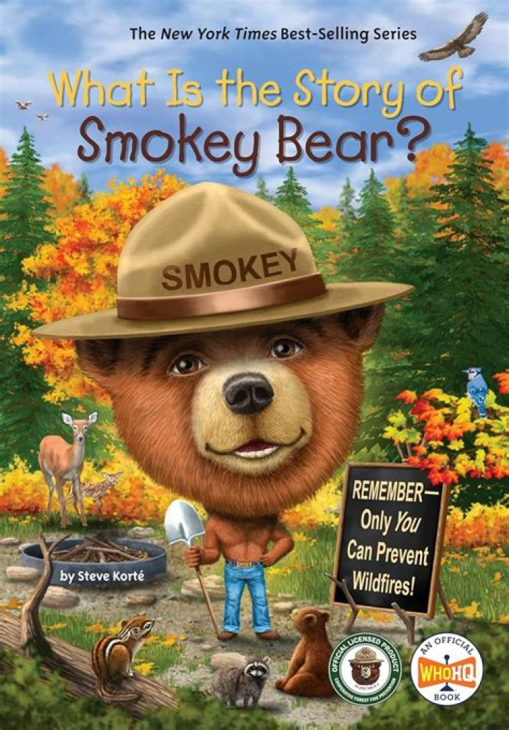 Why is Smokey the Bear controversial?
